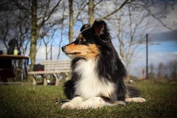 'Lady' mit zwei Jahren