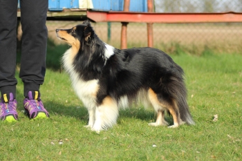 'Lady' mit drei Jahren